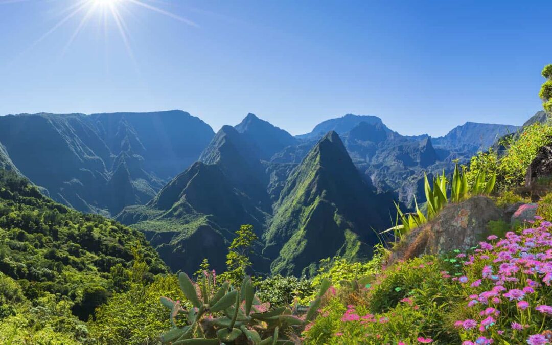 Enfin, DECEMO vient à la Réunion